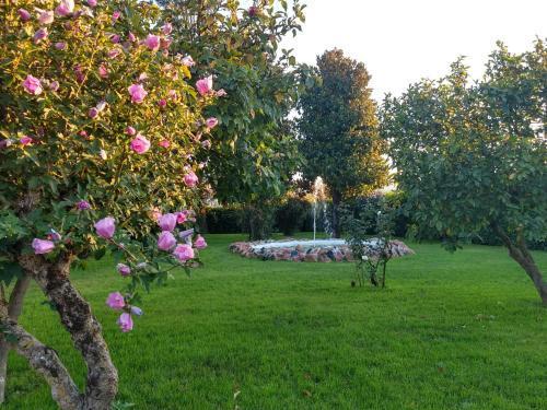 Albergo La Noce Colleferro Esterno foto